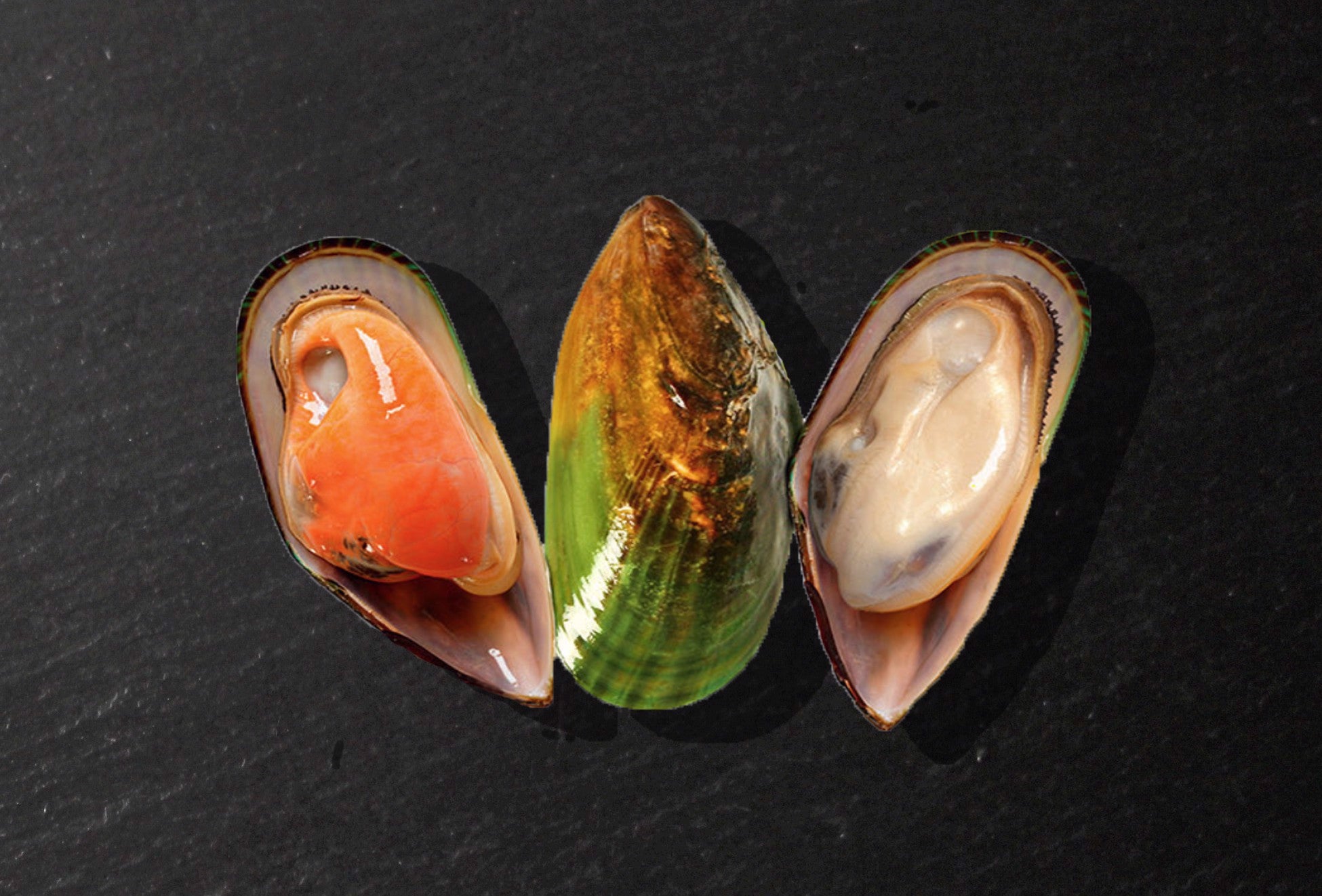 Grüne Muscheln, 1 kg