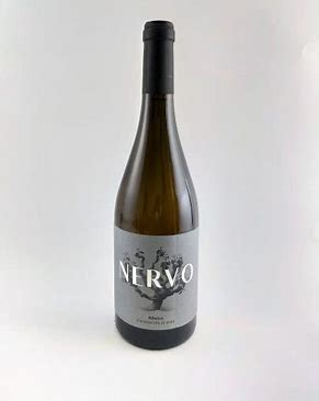 Nervo 2017