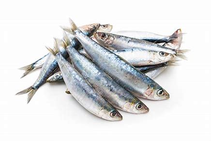 Kleine gefrorene Sardinen, 800g