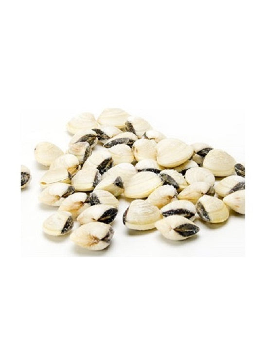 Gefrorene weiße Muscheln, 800g