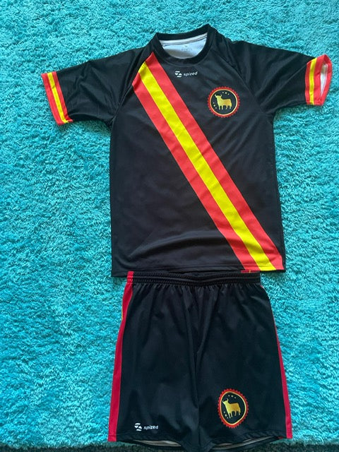 Camiseta DELICIAS