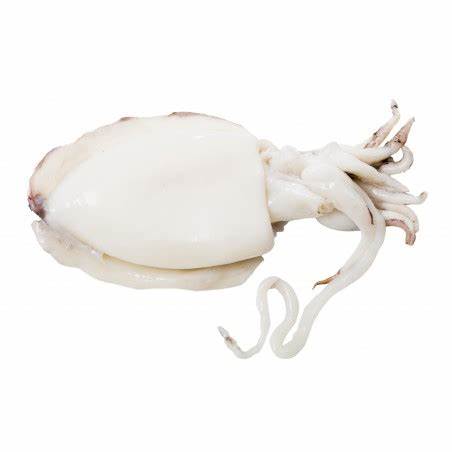 Tintenfisch 200-400, 1 kg