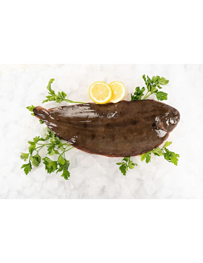 Gefrorene Seezunge Nr.3 230 bis 300 g / kg