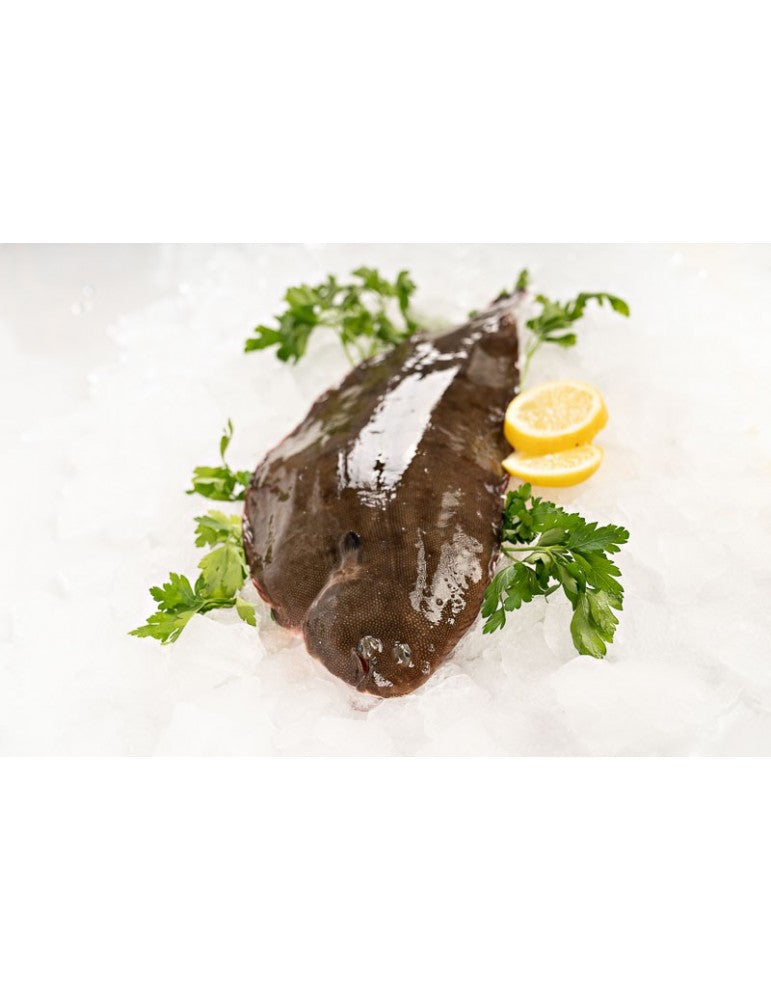 Gefrorene Seezunge Nr.3 230 bis 300 g / kg