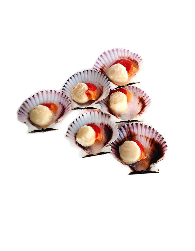 Gefrorene Jakobsmuscheln 1/2 Schale /Kg