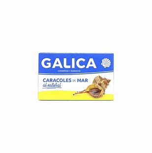 Caracoles de mar al natural Galica